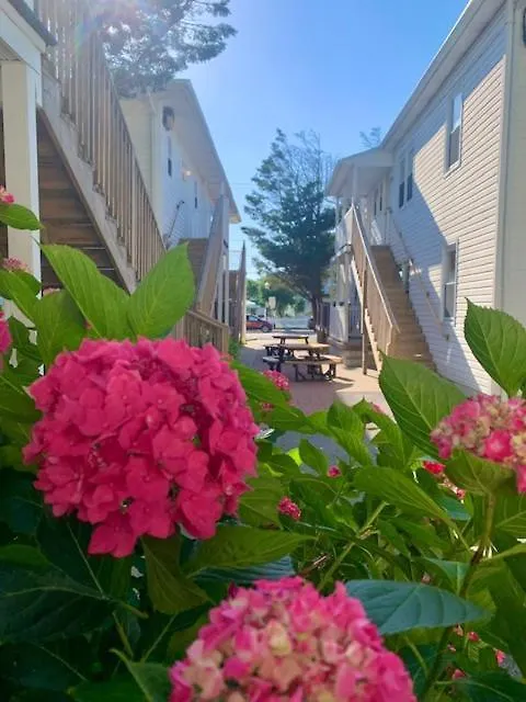 Beach Plaza Apartments Ocean City